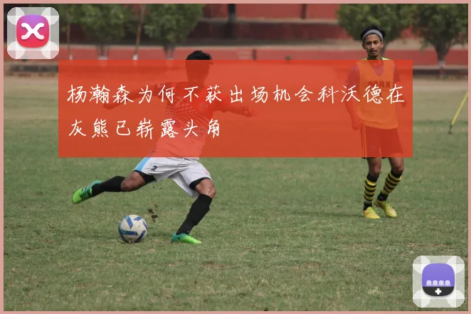 杨瀚森为何不获出场机会科沃德在灰熊已崭露头角