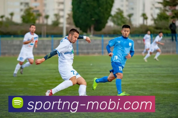 南宫体育平台生态图