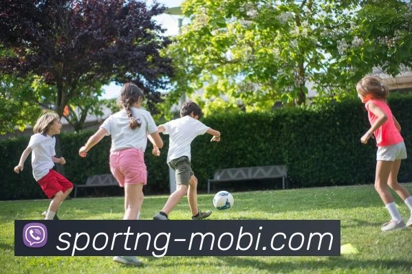 南宫体育APP 封面图